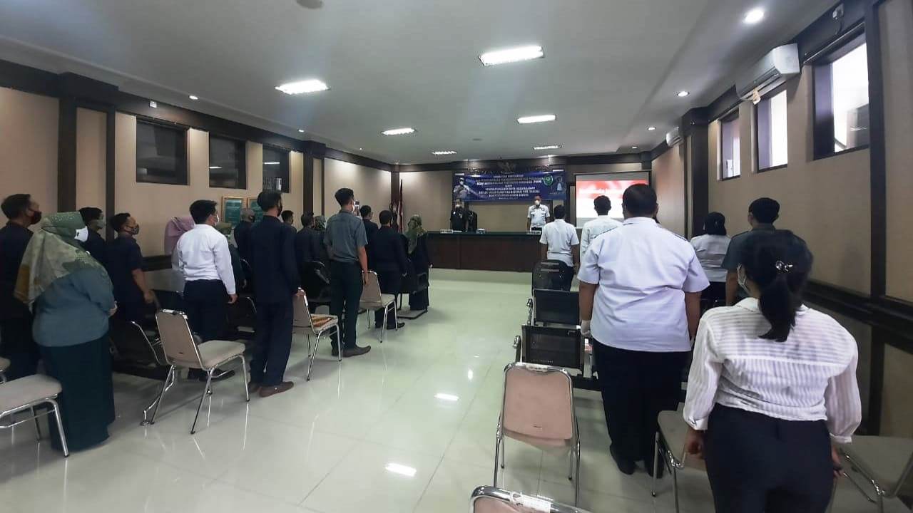 bnn bdg1